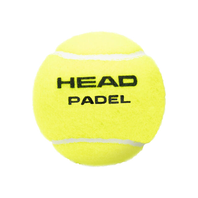 HEAD