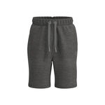 BIDI BADU Bekleidung BIDI BADU Chill Shorts Herren-Grau