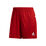 T19 Knee Shorts Women