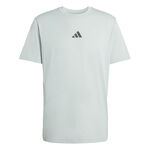 adidas Tennisbekleidung adidas Climacool Identitiy Graphic T-Shirt Herren-salbei