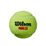 PADEL X3 BALL CAN