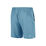 Spectrum 9Inch Shorts