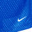 Dri-Fit Shorts