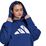 FL 3B Plus Hoody