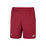 Shorts Lebron