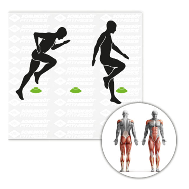 Schildkr&ouml;t Fitness